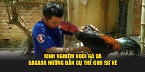 kinh nghiệm nuôi gà đá